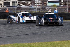 2019-Roar24-Document Name-0026